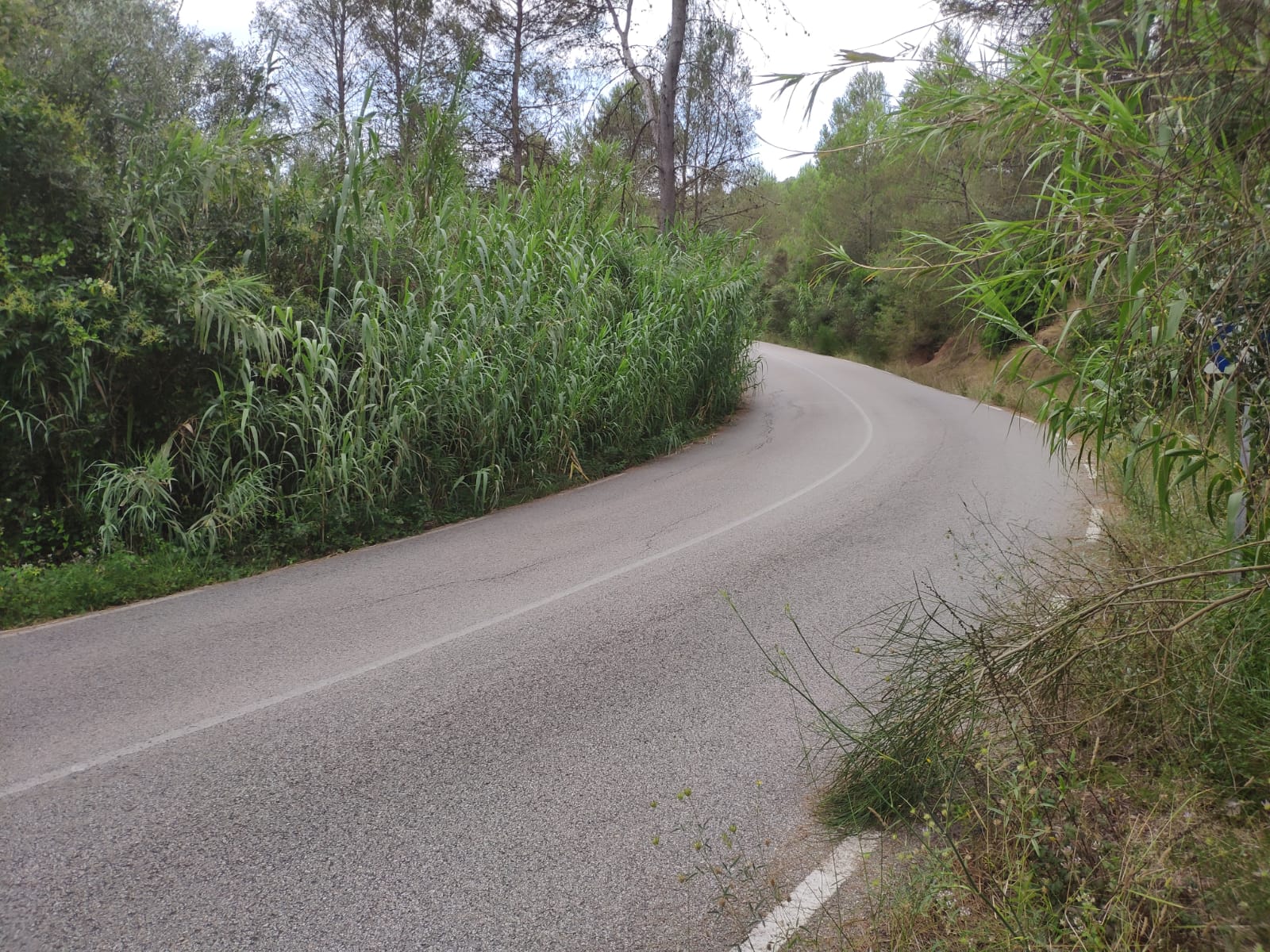 Les tasques de neteja obligaran a tallar el trànsit de la carretera de Corbera